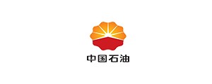 伙伴五